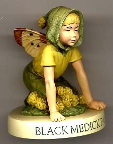 Black Medick Fairy Boy with Base 88915 (boxed) (RETIRED but in)