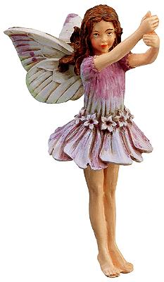 flower fairies lavender Lavender Fairy 86906 w/o Flower (boxed) (RETIRED but in stock) – The Turtle Trail