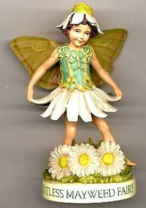 Scentless Mayweed Fairy with Base 88943 (boxed) (RETIRED but in)