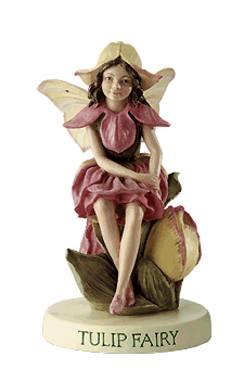 Tulip Fairy with Base (boxed) (RETIRED but in stock)